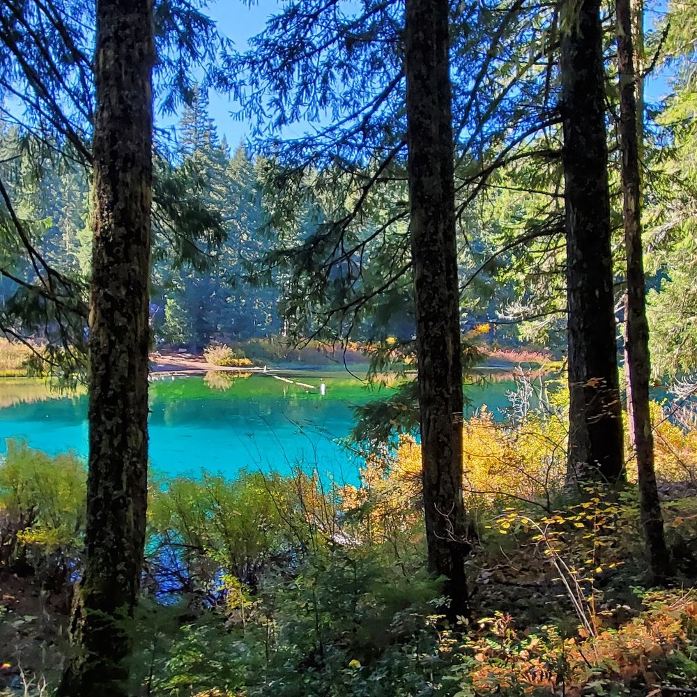 Meet your Posher, Kathy